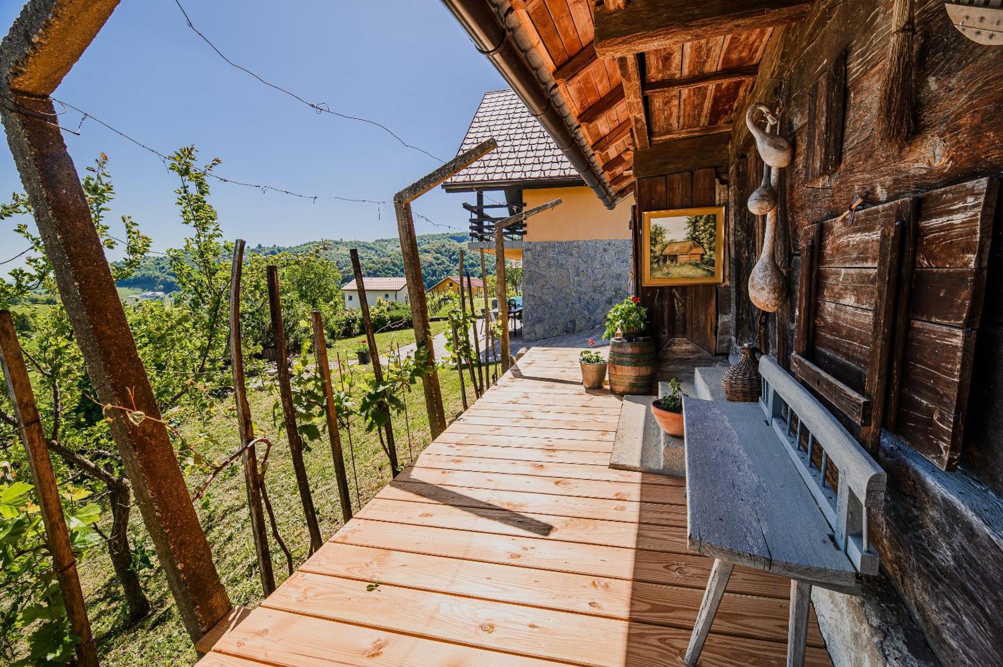 Holiday Home Vinea View - 4 Thermal Spas Nearby Bizeljsko Exterior foto