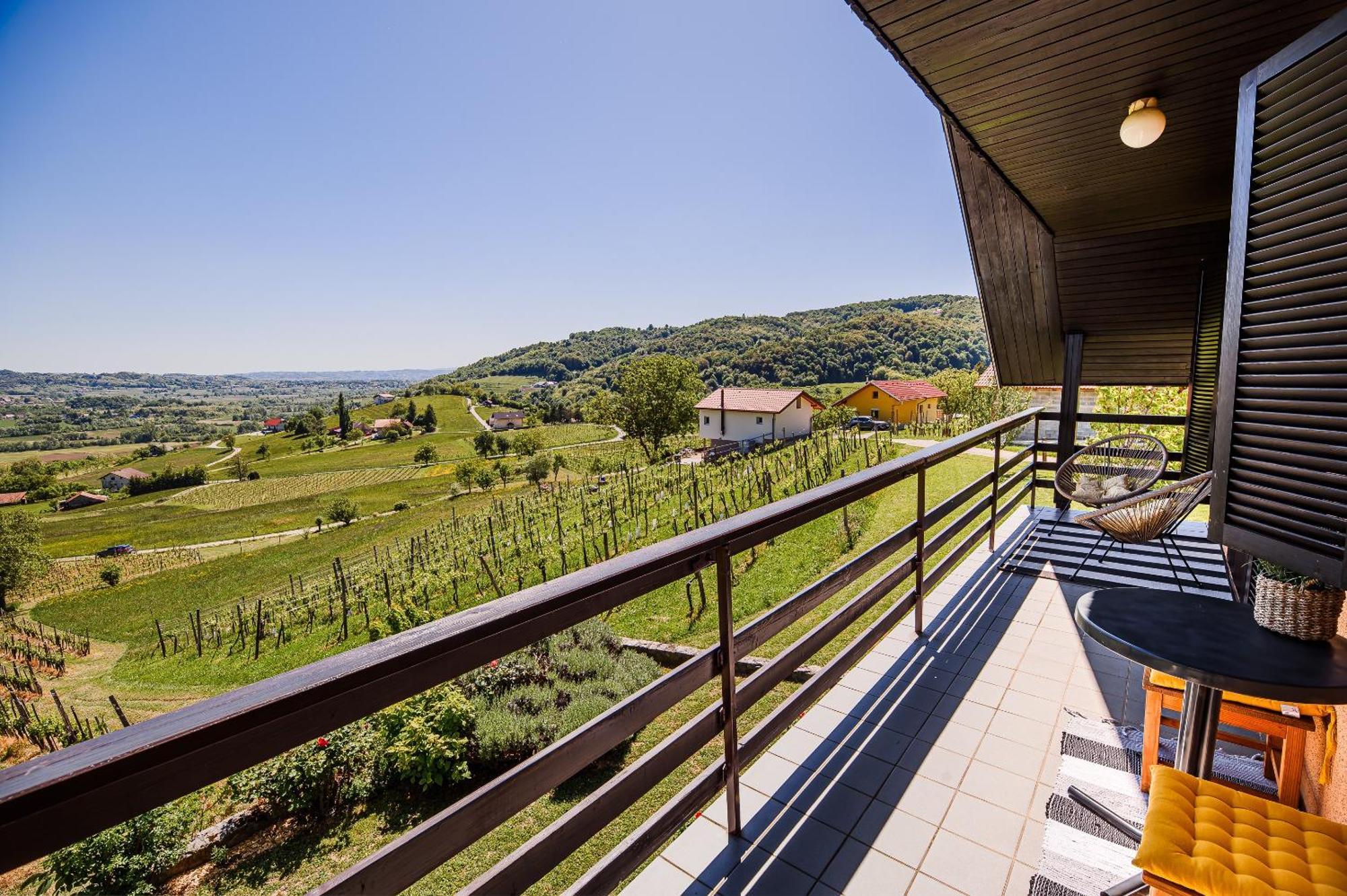 Holiday Home Vinea View - 4 Thermal Spas Nearby Bizeljsko Exterior foto