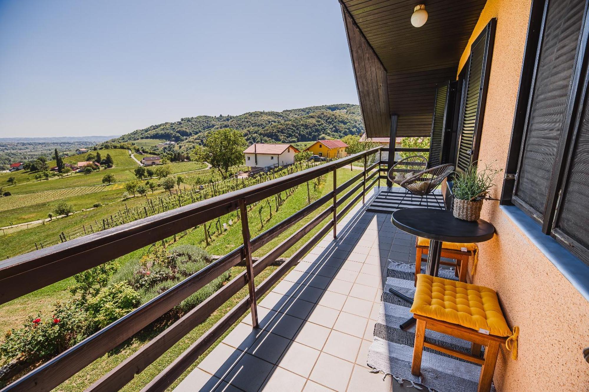 Holiday Home Vinea View - 4 Thermal Spas Nearby Bizeljsko Exterior foto